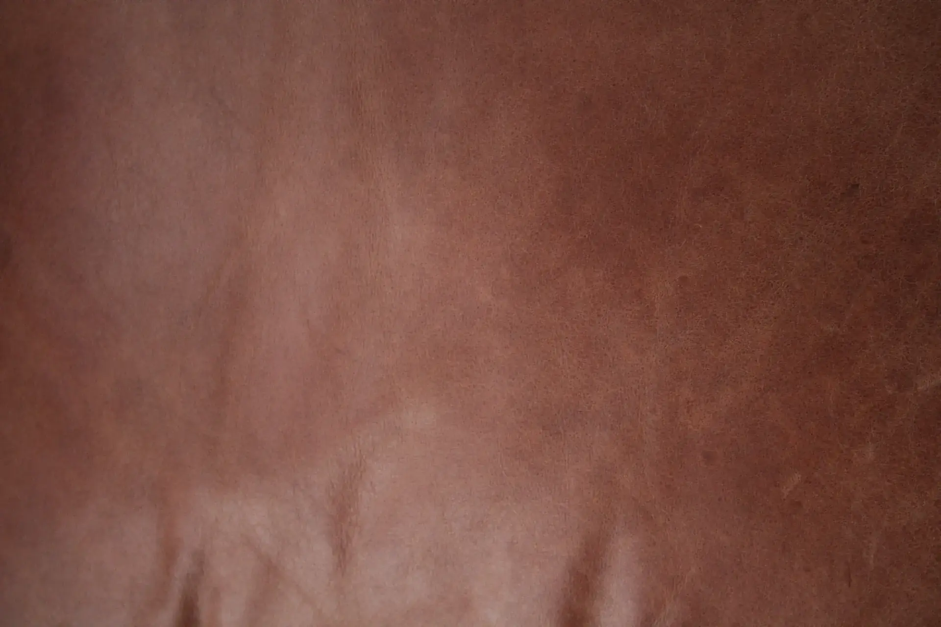 Textura de cuero marrón premium - acorde de cuero en Santal 33 Le Labo