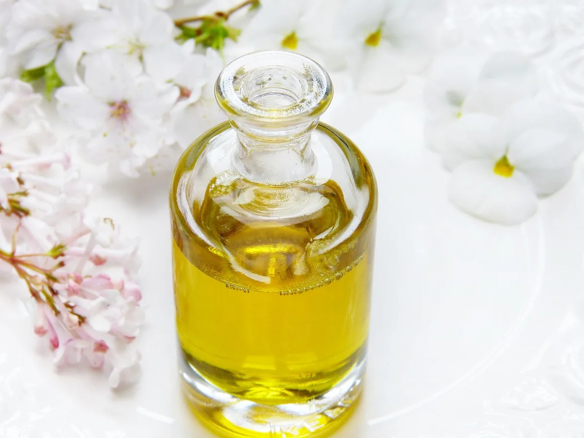Notas e Ingredientes de Santal 33: La Composición Completa
